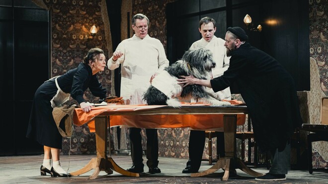 TheatreHD:  