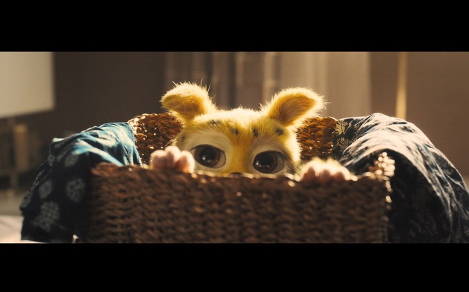 �����������. �������� �����