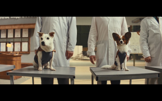 ��� ������ � ���������