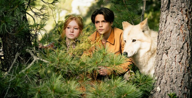 ���� ���� 2 